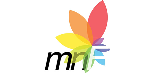 Mihai Nesu Foundation